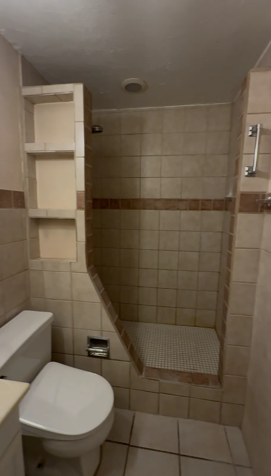 Dated tiled walk-in shower before remodel